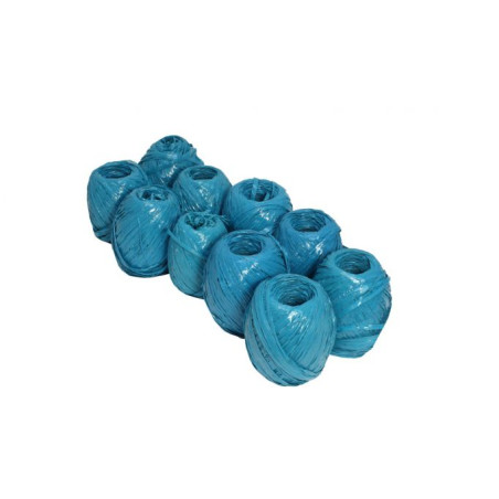 set 10 ata rafie 200gr