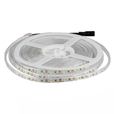 banda led smd3528 120led/m 6400k ip65 5m