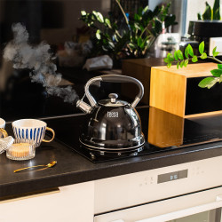 ceainic cu fluier otel 3l teesa