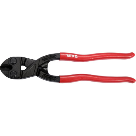 cleste pt. taiat sarma