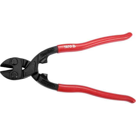 cleste pt. taiat sarma