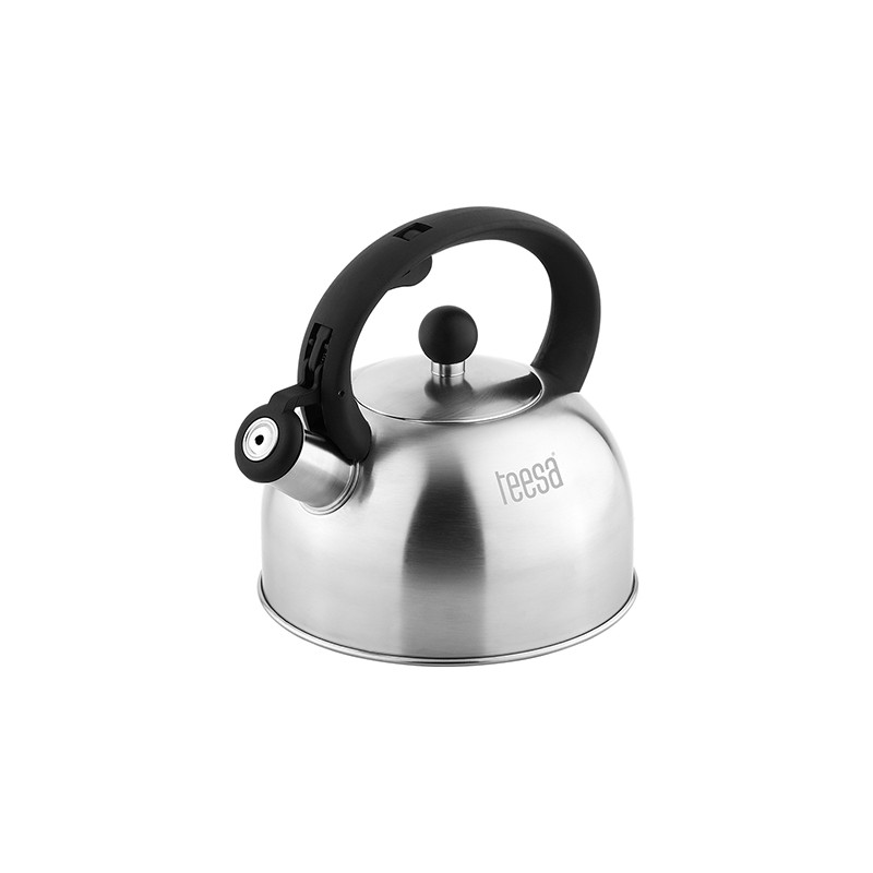 ceainic cu fluier otel 2l teesa