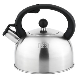 ceainic cu fluier otel 2l teesa