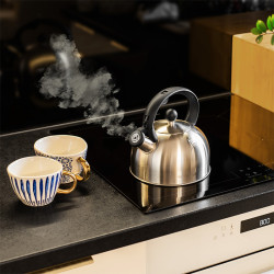 ceainic cu fluier otel 2l teesa