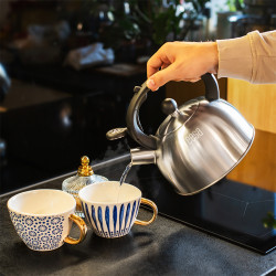 ceainic cu fluier otel 2l teesa