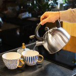 ceainic cu fluier otel 2l teesa