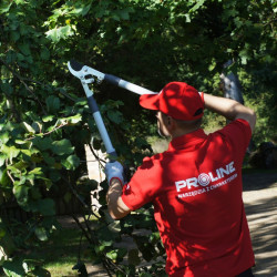 foarfeca crengi cu parghie si maner reglabil / 41mm