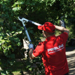 foarfeca crengi cu parghie si maner reglabil / 41mm