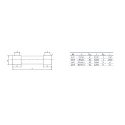 siguranta ch10x38 gg 1a/500v 002651012