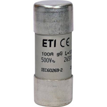 siguranta ch22x58 gg 100a/500v 002651050