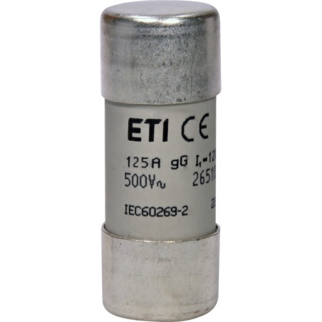 siguranta ch22x58 gg 125a/500v 002651051