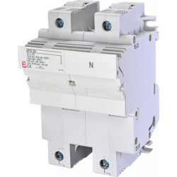 siguranta efd 22 1p+n 002570002