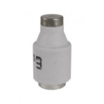 siguranta diii gg 32a/500v 002313404