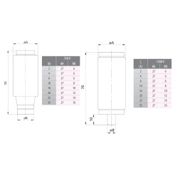 siguranta diii gf 4a/750v 002313602