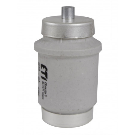 siguranta div dz 100a/500v 002314102