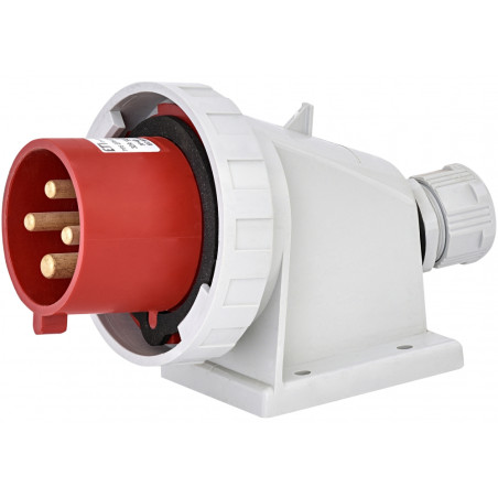 cee stecher eph 3243 004482070