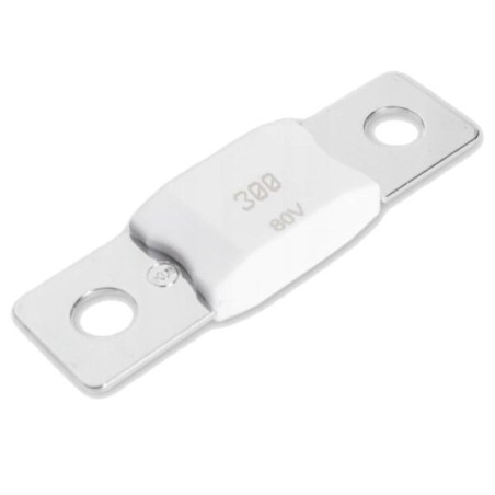 victron energy mega-fuse 300a/80v ceramic(5 pcs)