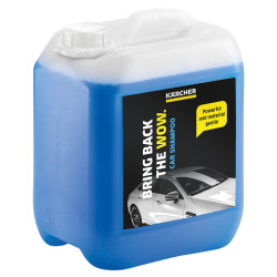 sampon auto 5l karcher