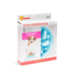 bol pentru hranire lenta, catei si pisici - 20 x 20 x 4,5 cm  - albastru