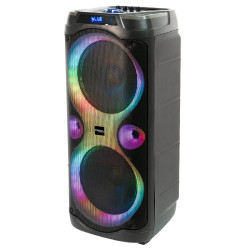 boxa portabila 2x10'/25cm 250w rms cu usb/aux