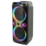 boxa portabila 2x10'/25cm 250w rms cu usb/aux