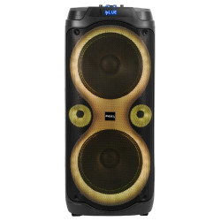 boxa portabila 2x10'/25cm 250w rms cu usb/aux
