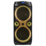 boxa portabila 2x10'/25cm 250w rms cu usb/aux