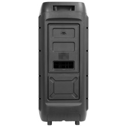 boxa portabila 2x10'/25cm 250w rms cu usb/aux