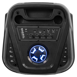 boxa portabila 2x10'/25cm 250w rms cu usb/aux