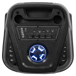 boxa portabila 2x10'/25cm 250w rms cu usb/aux