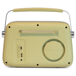 radio fm portabil nostalgia 15w cu functie bluetooth/aux -olive