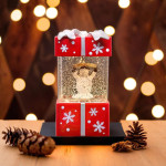 decoratiune craciun iluminat model om de zapada