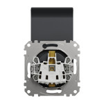 noua sedna priza capac, antracit, schneider