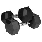 gantere dumbbell hex fonta cauciucata 2x10kg rebel acti