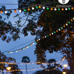 ghirlanda luminoasa decorativa exterior forever light 12m cu 10 becuri led e27, g45 alb roz albastru ip65 ghirlanda luminoasa decorativa exterior forever light 12m cu 10 becuri led e27, g45 alb roz albastru ip65