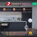 senzor smart de miscare pir nous e2, zigbee
