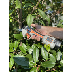 foarfeca electrica pentru gradina rovo fv2 pro, motor brushless, 2 acumulatori 2000mah, diametru 30mm, valiza de transport