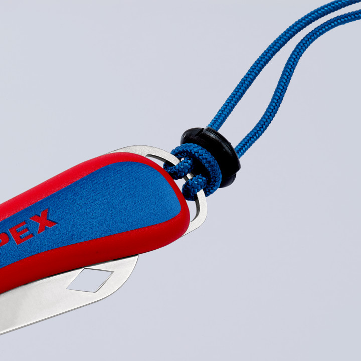 Briceag electrician