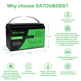 Acumulator LiFePo4 12V 100Ah, DT-12V100A-A01