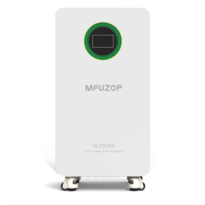 Acumulator 51.2V 314Ah LiFePO4 Battery 16kWh BMS 210A  Carcasa Metalica Energy Storage by DATOUBOSS / SZUFP