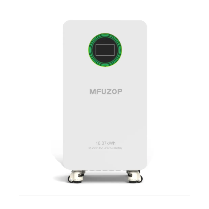 Acumulator 51.2V 314Ah LiFePO4 Battery 16kWh BMS 210A  Carcasa Metalica Energy Storage by DATOUBOSS / SZUFP