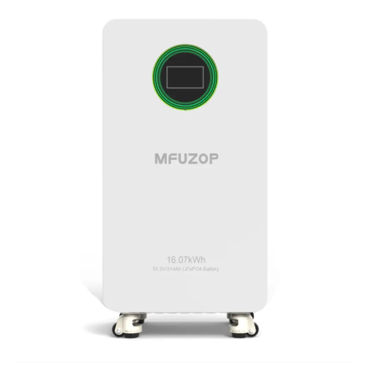 Acumulator 51.2V 314Ah LiFePO4 Battery 16kWh BMS 210A  Carcasa Metalica Energy Storage by DATOUBOSS / SZUFP
