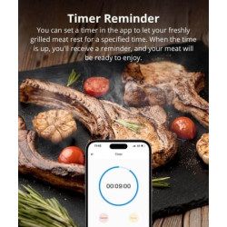 termometru inteligent pentru carne sonoff bmt01