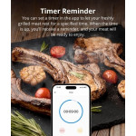 termometru inteligent pentru carne sonoff bmt01