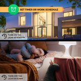 set 4 prize inteligente wifi nous a1, 15a, monitorizare energie