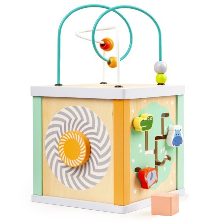 Sortare cuburi educative din lemn + blocuri Ecotoys