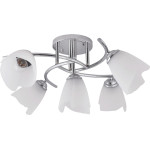 Lampi interior, Lustra Silvia Crom+Alb 5xE27 60W      -1, dioda.ro