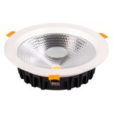 Corpuri de iluminat tehnice, Downlight LED Fix 30W 4000K -1, dioda.ro