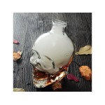 Veselă de bucătărie, Carafa 4L Craniu 700ml -1, dioda.ro