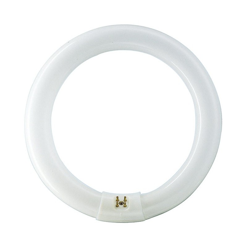 Tub Fluorescent, Tub Fluorescent Circular TL-E 32W  -1, dioda.ro